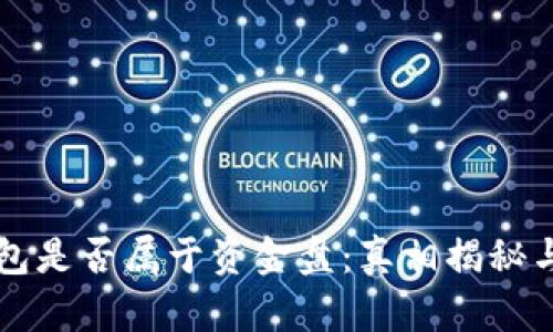 狗狗币钱包是否属于资金盘：真相揭秘与风险分析