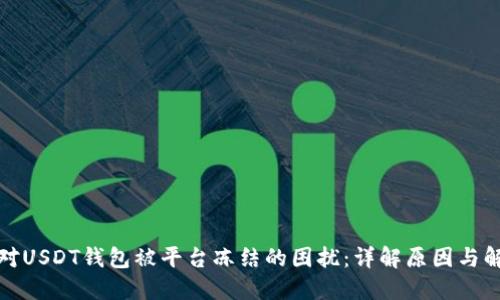 如何应对USDT钱包被平台冻结的困扰：详解原因与解决方案