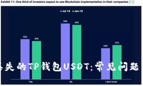 如何找回丢失的TP钱包USDT：常见问题与解决方案