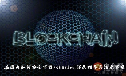  在国内如何安全下载Tokenim：详尽指导与注意事项