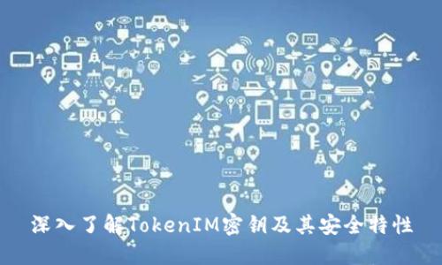 深入了解TokenIM密钥及其安全特性