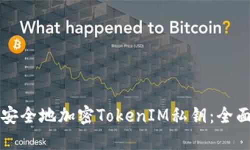 如何安全地加密TokenIM私钥：全面指南
