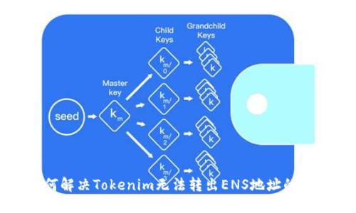 如何解决Tokenim无法转出ENS地址的问题