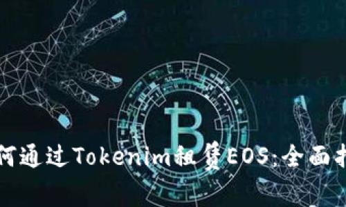 如何通过Tokenim租赁EOS：全面指南