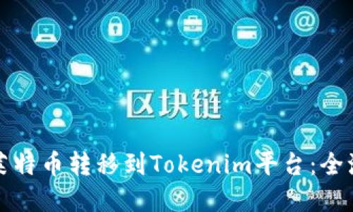 如何将莱特币转移到Tokenim平台：全流程详解