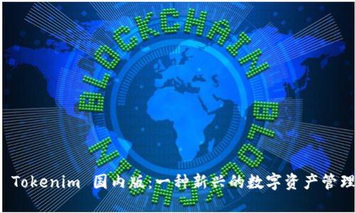 理解 Tokenim 国内版：一种新兴的数字资产管理工具