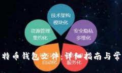 如何打开比特币钱包文件：详细指南与常见问题