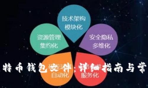 如何打开比特币钱包文件：详细指南与常见问题解答