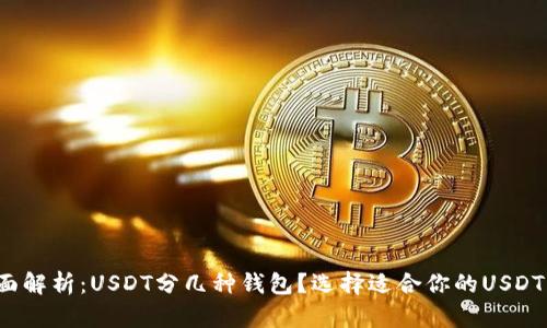  全面解析：USDT分几种钱包？选择适合你的USDT钱包
