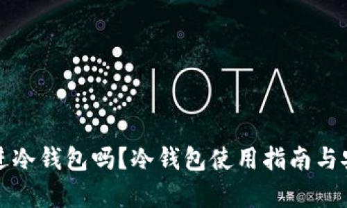 屎币可以进冷钱包吗？冷钱包使用指南与安全性分析