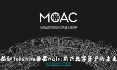 揭秘Tokenim糖果Halo：新兴数字资产的未来