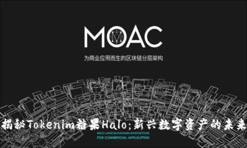 揭秘Tokenim糖果Halo：新兴数字资产的未来