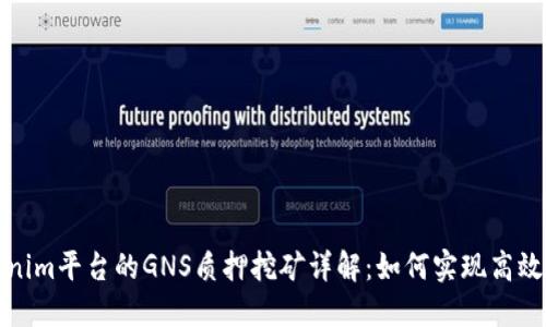 Tokenim平台的GNS质押挖矿详解：如何实现高效收益