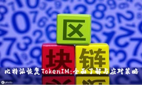 比特派恢复TokenIM：全面了解与应对策略