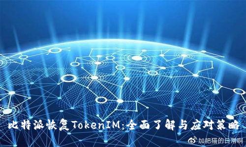 比特派恢复TokenIM：全面了解与应对策略