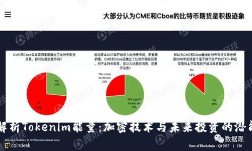 解析Tokenim能量：加密技术与未来投资的潜能