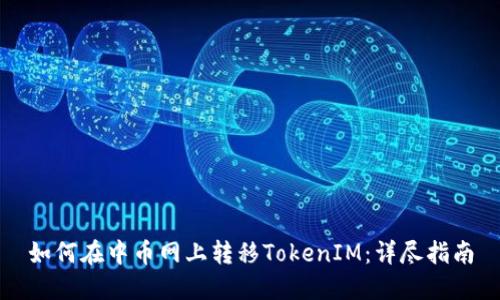 如何在中币网上转移TokenIM：详尽指南