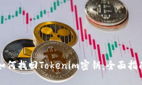 如何找回Tokenim密钥：全面指南