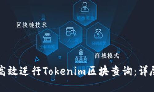 如何高效进行Tokenim区块查询：详尽指南