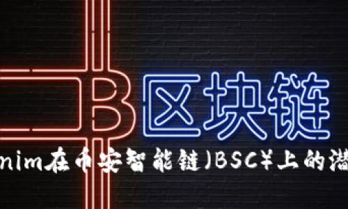 探索Tokenim在币安智能链（BSC）上的潜力与发展