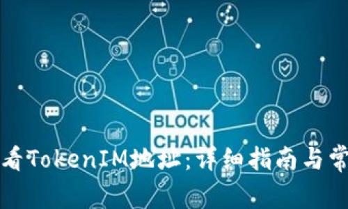如何快速查看TokenIM地址：详细指南与常见问题解答
