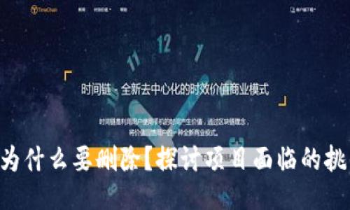 Tokenim为什么要删除？探讨项目面临的挑战与机遇