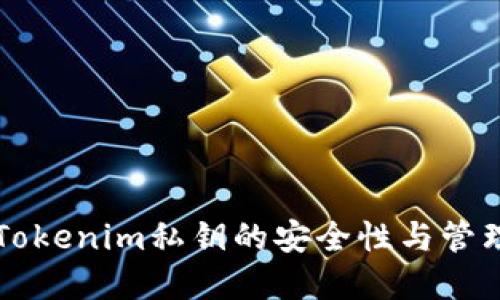 早期Tokenim私钥的安全性与管理方法