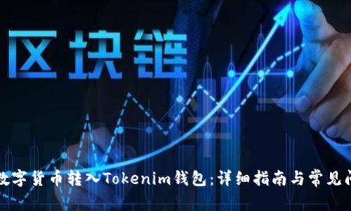 如何将数字货币转入Tokenim钱包：详细指南与常见问题解答