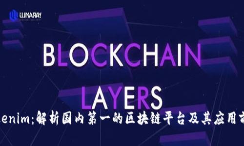 Tokenim：解析国内第一的区块链平台及其应用前景