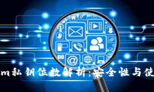 Tokenim私钥位数解析：安全性与使用指南