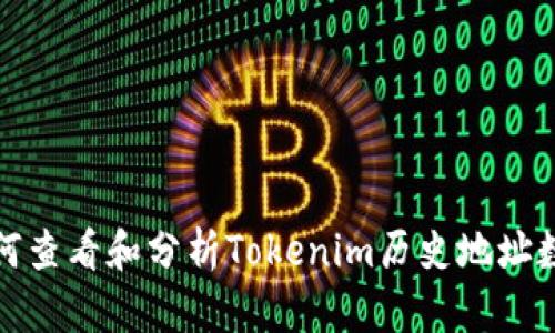 如何查看和分析Tokenim历史地址数据