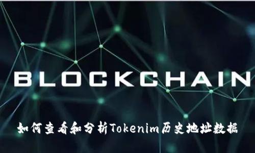 如何查看和分析Tokenim历史地址数据