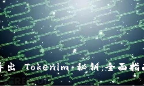 如何安全地导出 Tokenim 秘钥：全面指南和注意事项