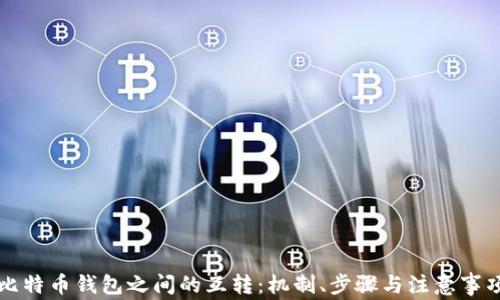 
比特币钱包之间的互转：机制、步骤与注意事项
