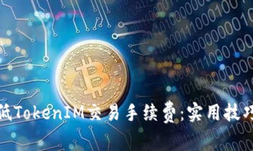 如何降低TokenIM交易手续费：实用技巧与策略