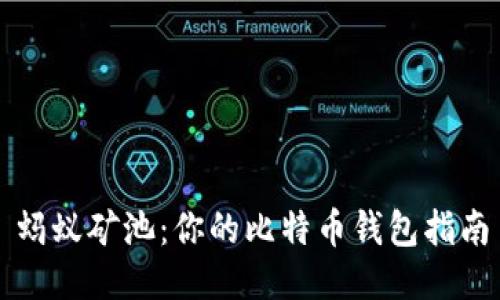 蚂蚁矿池：你的比特币钱包指南