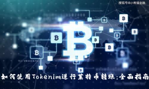 如何使用Tokenim进行莱特币转账：全面指南