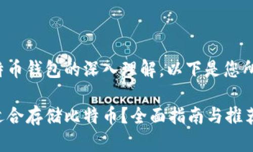 出于对比特币钱包的深入理解，以下是您所需的信息：

哪种钱包适合存储比特币？全面指南与推荐