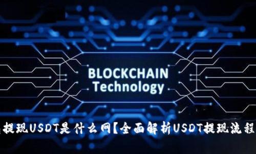 小狐狸钱包提现USDT是什么网？全面解析USDT提现流程与注意事项