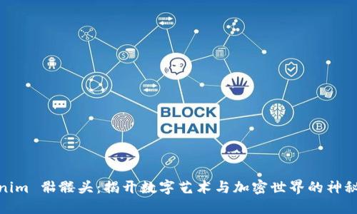 Tokenim 骷髅头：揭开数字艺术与加密世界的神秘面纱