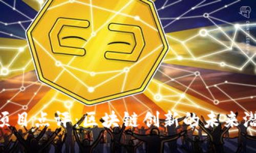 Tokenim项目点评：区块链创新的未来潜力与挑战