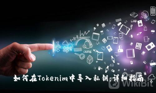 如何在Tokenim中导入私钥：详细指南