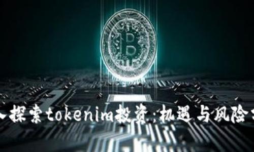 深入探索tokenim投资：机遇与风险分析