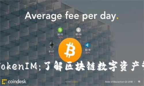 深入探讨TokenIM：了解区块链数字资产管理的未来
