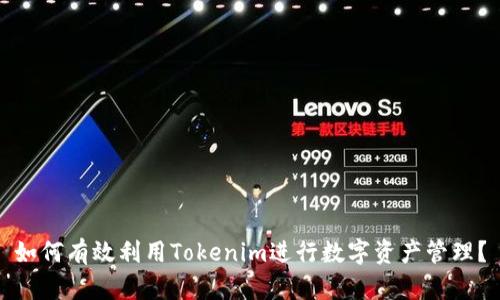 如何有效利用Tokenim进行数字资产管理？