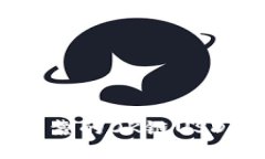 如何选择安全可靠的OK链USDT钱包：终极指南