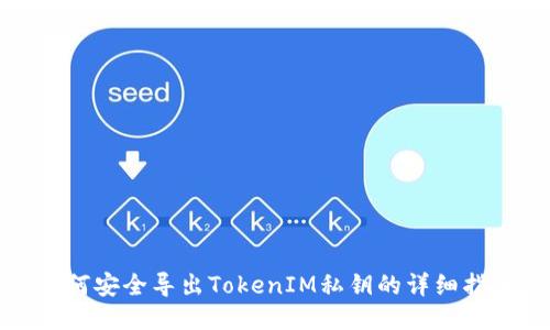 如何安全导出TokenIM私钥的详细指南
