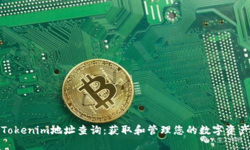 Tokenim地址查询：获取和管理您的数字资产