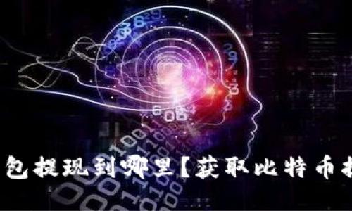  比特币钱包提现到哪里？获取比特币提现的指南