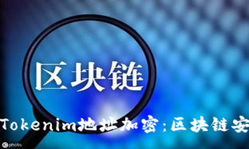 :
深入了解Tokenim地址加密：区块链安全的关键